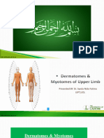 Lecture 12 (Dermatomes & Myotomes of Upper Limb)