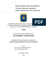 Determinación Del Efecto de La Aplicación de Hongos Entomopatógenos en El Control de Gorgojo de L