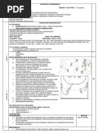 Quinta Clase Balonmano