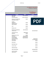 Trial Balance Mevia (Print)