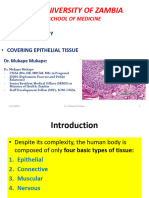 Covering Epithelial Tissue