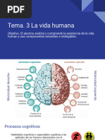 Diapositivas Semana 3