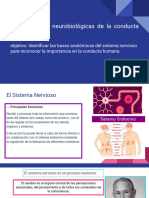 Diapositivas Tema 8