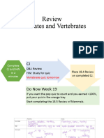 Review - Chordates and Vertebrates