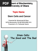 Stem - Cells - and - Cancer - PPT 1