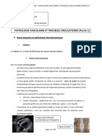 23 - BIOPATHO 3 - Stase Sanguine Et Pathologie H Modynamique