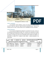 Actividad Economica Tuman