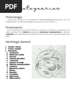 Protozoarios 