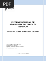 Informe 1 Semanal de Seguridad