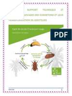 Support Technique D'élevage Des Hannetons