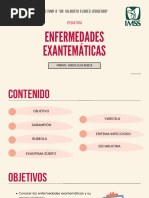 Enfermedades Exantematicas