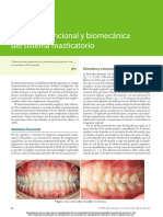 Biomecánica de La ATM