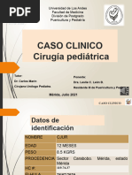 Leslie 1. CC, Tu Renal