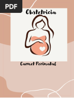 Carnet o Cartilla Perinatal