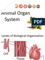 Module 8. Animal Organ System