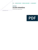 Tumori Del Piccolo Intestino - Disturbi Gastrointestinali - Manuali MSD Edizione Professionisti