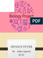 Dengue Fever