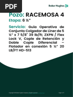 Guia Operativa LH 5.5 X 7.6 - ZXPN - Flex Lock - Sureflow - Racemosa 4