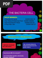 The Bacteria Cell: Group Members