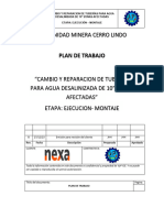 PLAN DE TRABAJO - NEXA - VYP ICE. Rev2