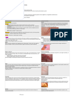 Lesiones Dermatológicas Elementales