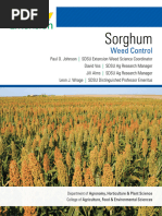 Sorghum: Weed Control