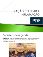 Aula 4 - Migração Celular e Inflamação