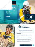 Procesos Mineros y Metalurgicos