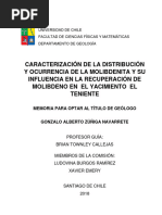 Caracterización de La Distribución y Ocurrencia de La Molibdenita y Su Influencia en La Recuperación de Molibdeno en El Yacimiento El Teniente