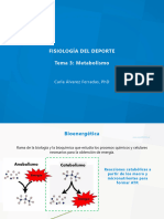 Tema 3 - Metabolismo 2023