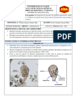 INFORME 2 - Entamoeba Coli