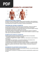 Sistema Locomotor