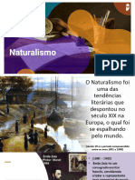 AULA - NATURALISMO Introdução e Características