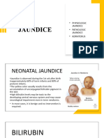 JAUNDICE Report