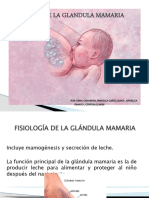 Fisiologia de Glandula Mamaria