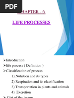 Life Processes