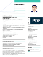 DarioEpifanio PalominoCardenas CV