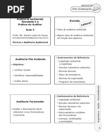 Aula 03 - Auditoria Ambiental Simulada e A Prática Do Auditor - Prof Sandra Lopes