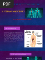 Anatomia Tema Sistema Endocrino.