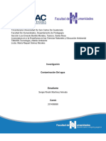 Ensayo Contaminación Del Agua