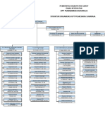 Struktur Organisasi PKM Dan Mutu 2022