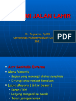 Anatomi Jalan Lahir