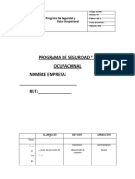 PROGRAMA DE SEGURIDAD Y SALUD OCUPACIONAL MODELO 2023 Programa Prevencion de Riesgos