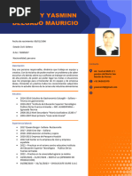 CV Actulizado - Delgado Mauricio Rosmery .......