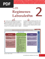 Regimenes Laborales Peruanos - Servir