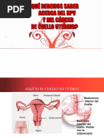 Que Hay Que Saber Del HPV y El Cancer de Cuello Uterino