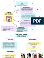 Mapa y Práctica de Vendaje Neuromuscular