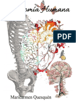 ANATOMÍA1