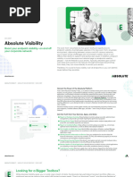 Ds Absolute Visibility