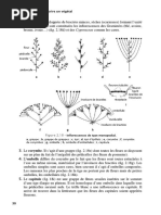 Hétérotrophes